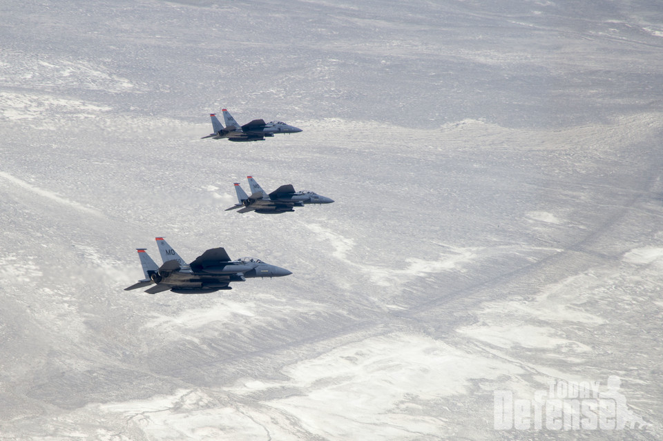 미공군이 A-10을 계속 퇴역을 할수 있도록 허용하지만 F-15E의 퇴역에 제동으 ㄹ걸었다.(사진:U.S.Air Force)